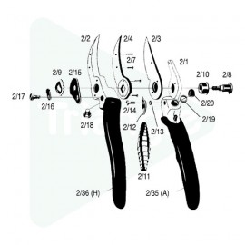 Secteur denté 2/16+6/7+2/8+2/9+2/17