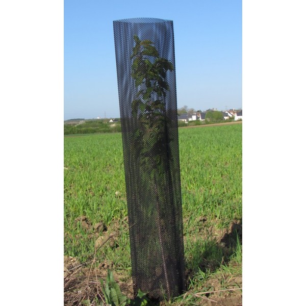 Gaine de protection agroforesterie - Triangle Outillage