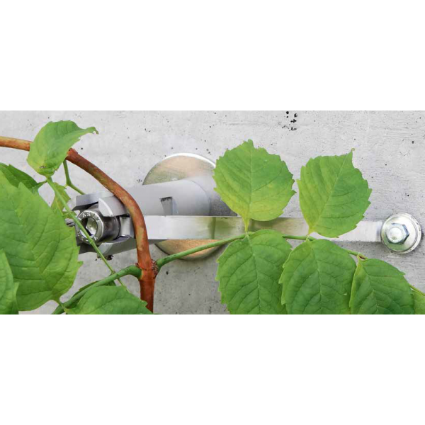 Kit Palissage Câble Acier pour plantes grimpantes - Nature