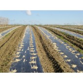 *Film de paillage spécial vigne biodégradable