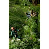 Elagueuse télescopique BCL135 - Bahco sur perche 2m20/3m