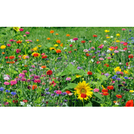 Mélanges Fleuries CELINE Mélanges Fleuries CELINE