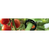 Clips Tomate (100pces)