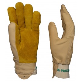 Gants pour sécateur