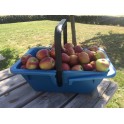 Panier récolte 16 litres anse verrouillable