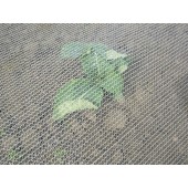 Filet Anti-Insectes Climatex (croissance – protection)