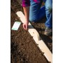 Planche de plantation en bois de cèdre