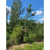 Canne télescopique de mesure pour arbre