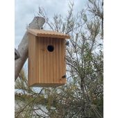 Nichoir pour Mésange charbonnière