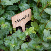 Etiquettes à planter bambou