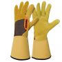 Gants de taille roncier