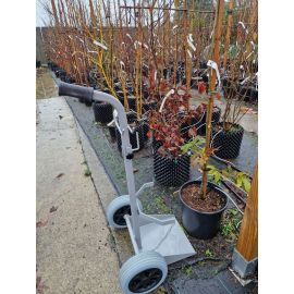 Diable étroit pour pots et containers *