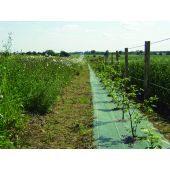 Toile de paillage étroite verte