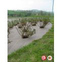 Toile de paillage marron 86g/m² *