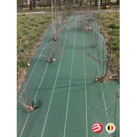 Toile de paillage verte 86g/m² *
