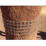 Lot de 10 protecteurs cactus