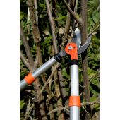 Ebrancheur télescopique PG-19-F