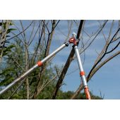 Ebrancheur télescopique PG-19-F