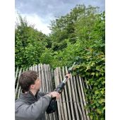 Sécateur électrique sur perche