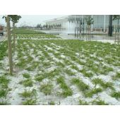 Toile de paillage base chanvre*