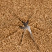 Disques de paillage coco