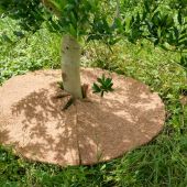 Disques de paillage coco