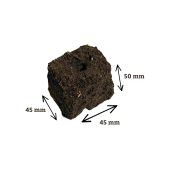 Presse-mottes Spidmot