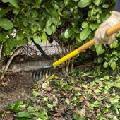 Balai &agrave; haies Duopro XR1