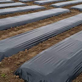 B&acirc;che noire de couvert agricole*