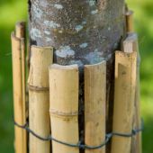Protection de tronc en bambou