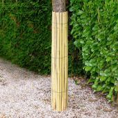 Protection de tronc en bambou