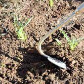 Binette demi-lune Triangle