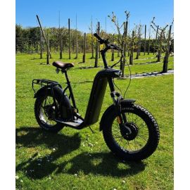 Trottinette &eacute;lectrique Zosh mountain