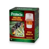 Pi&egrave;ge s&eacute;lectif frelons asiatiques
