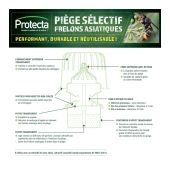 Pi&egrave;ge s&eacute;lectif frelons asiatiques