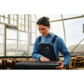 Chemise femme Oxheart Growers & Co.