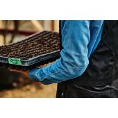 Chemise femme Oxheart Growers & Co.