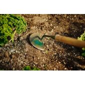 Binette pleine lune Growers & Co.