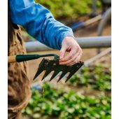 Binette &agrave; dents Growers & Co.