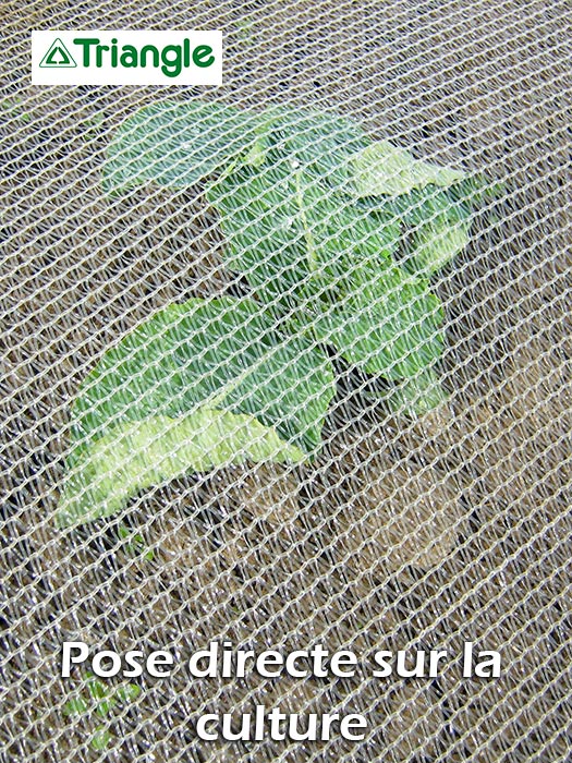 Nos produits horticoles - Protection - Filets pour oiseaux et