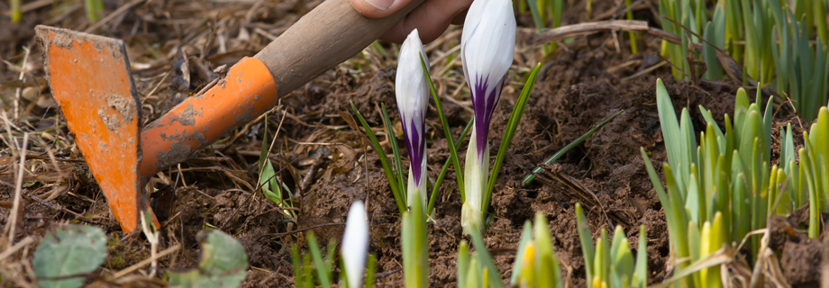 outils pour l'entretien et le déserbage en permaculture