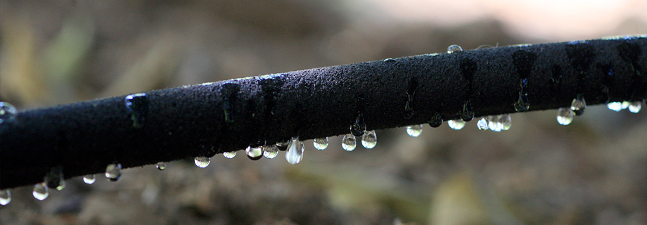 arrosage par tuyau suintant pour limiter la consommation en eau de manière responsable