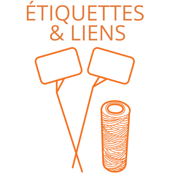 Etiquettes et liens