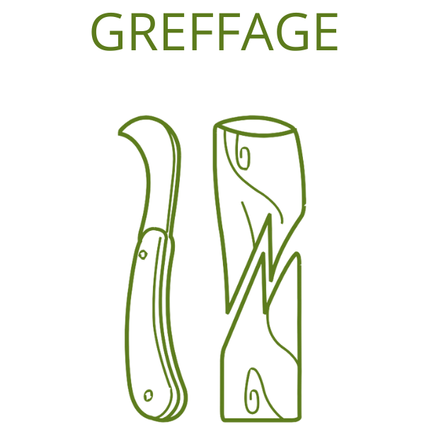 Titre de l'image