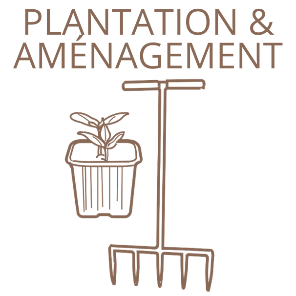 Plantation Amenagement