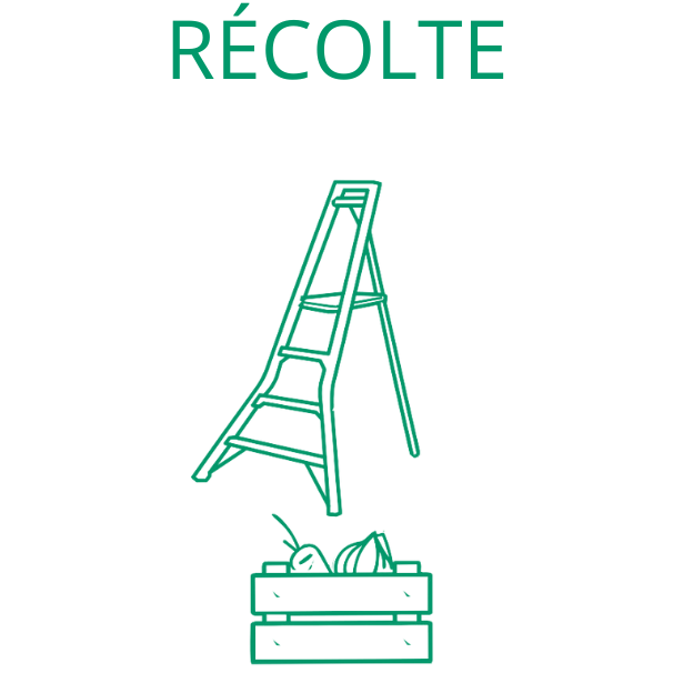 Recolte