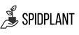 Spidplant